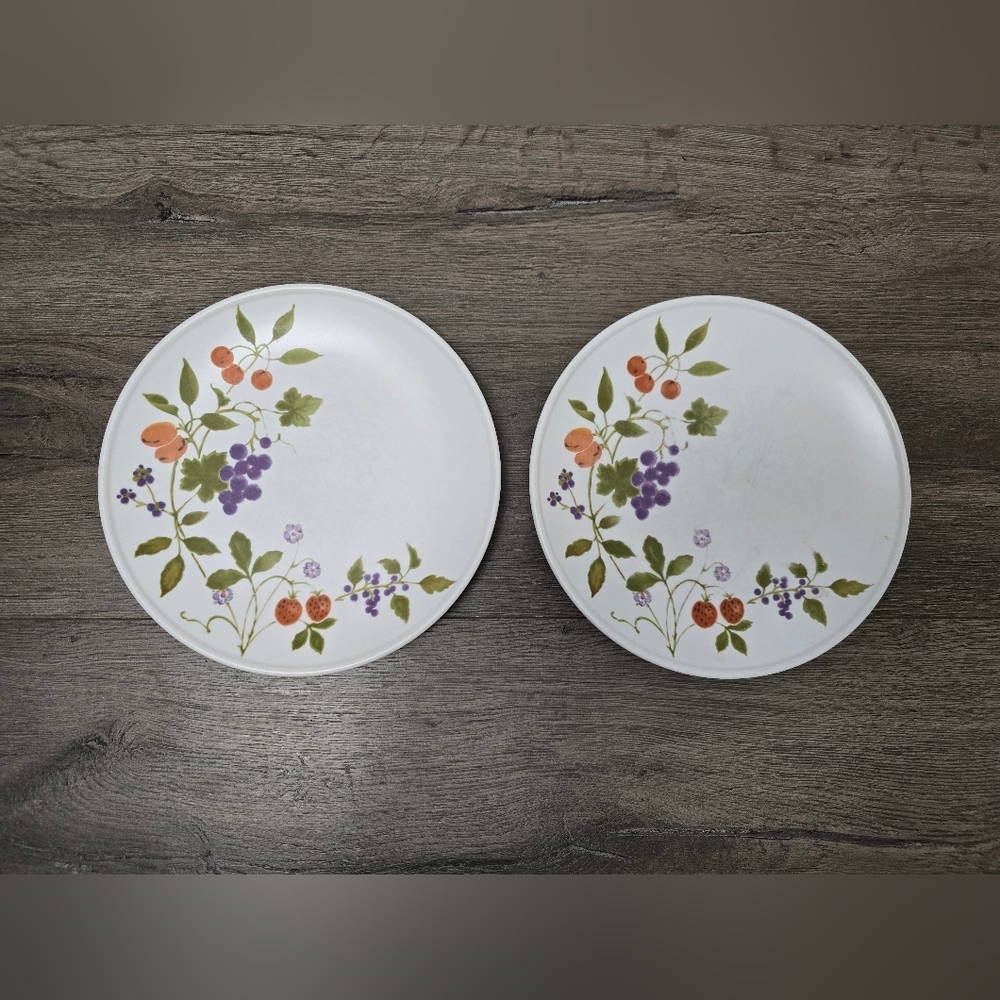 Noritake Berries N' Such 70's Progression China Dessert Plate Set Of 2